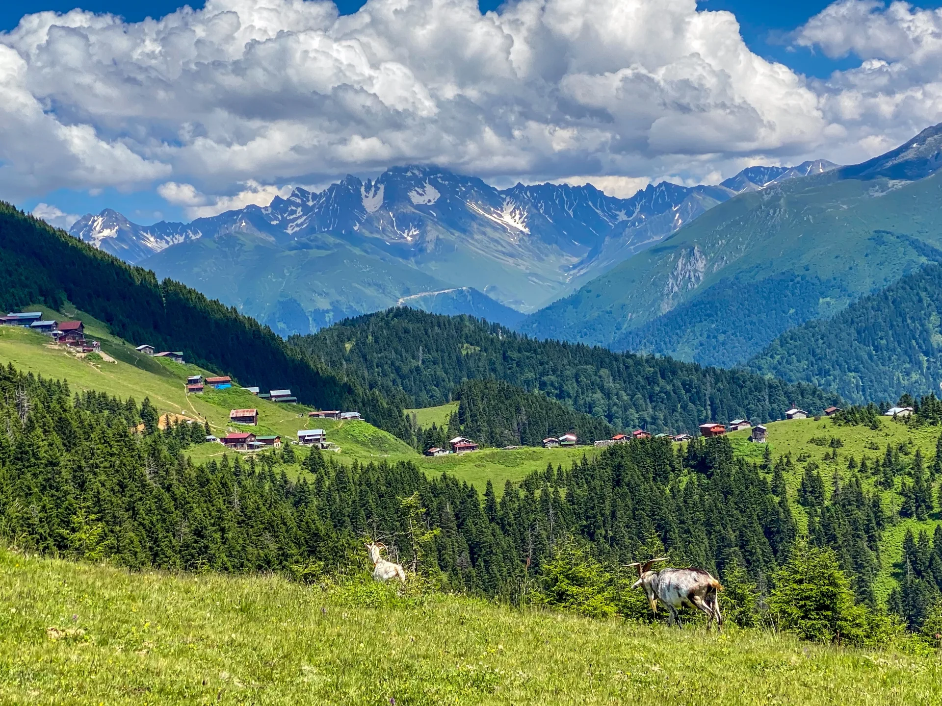 Trabzon Airport-Rize